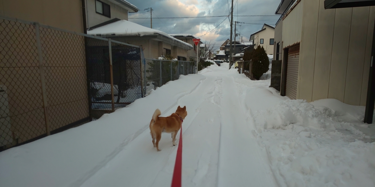 f:id:akita319:20220108113617j:plain
