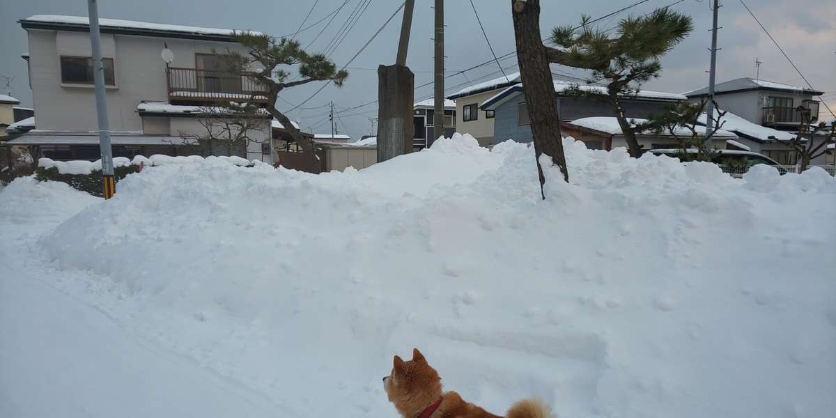 f:id:akita319:20220108170827j:plain