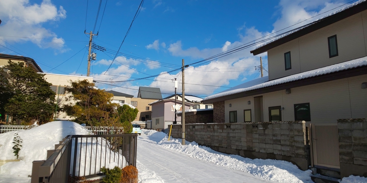 f:id:akita319:20220116173308j:plain