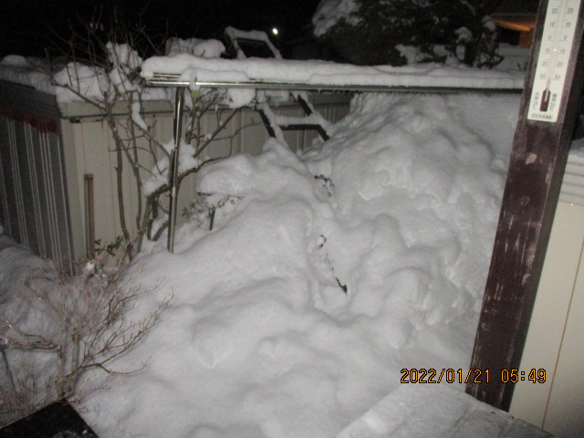 f:id:akita319:20220121061059j:plain