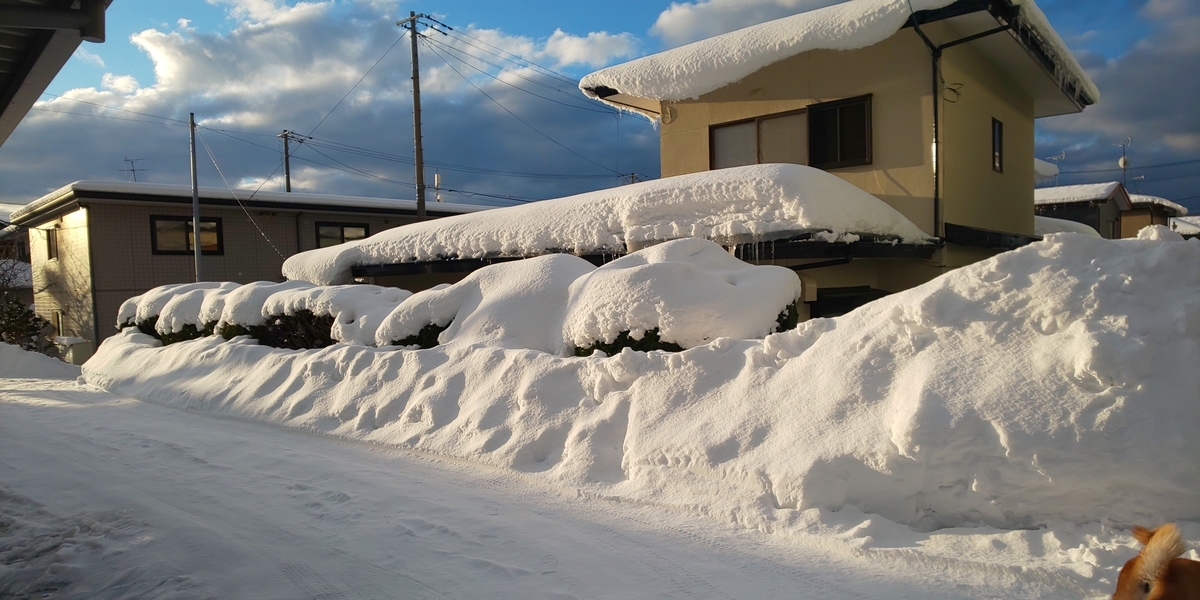 f:id:akita319:20220123062122j:plain