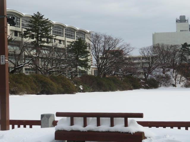 f:id:akita319:20220123193016j:plain