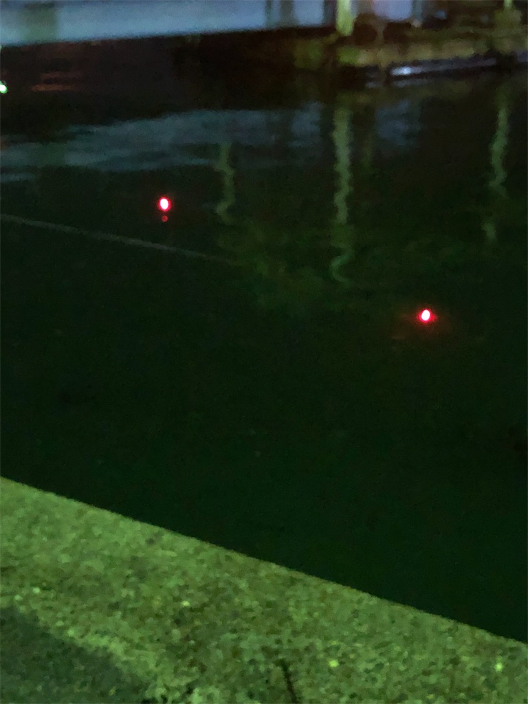 宇野港 癒しの梅雨メバル釣行 岡山シーバス Ino S Fishing Style