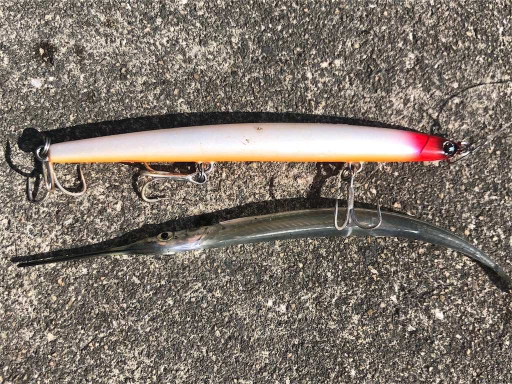 岡山シーバス Ino S Fishing Style