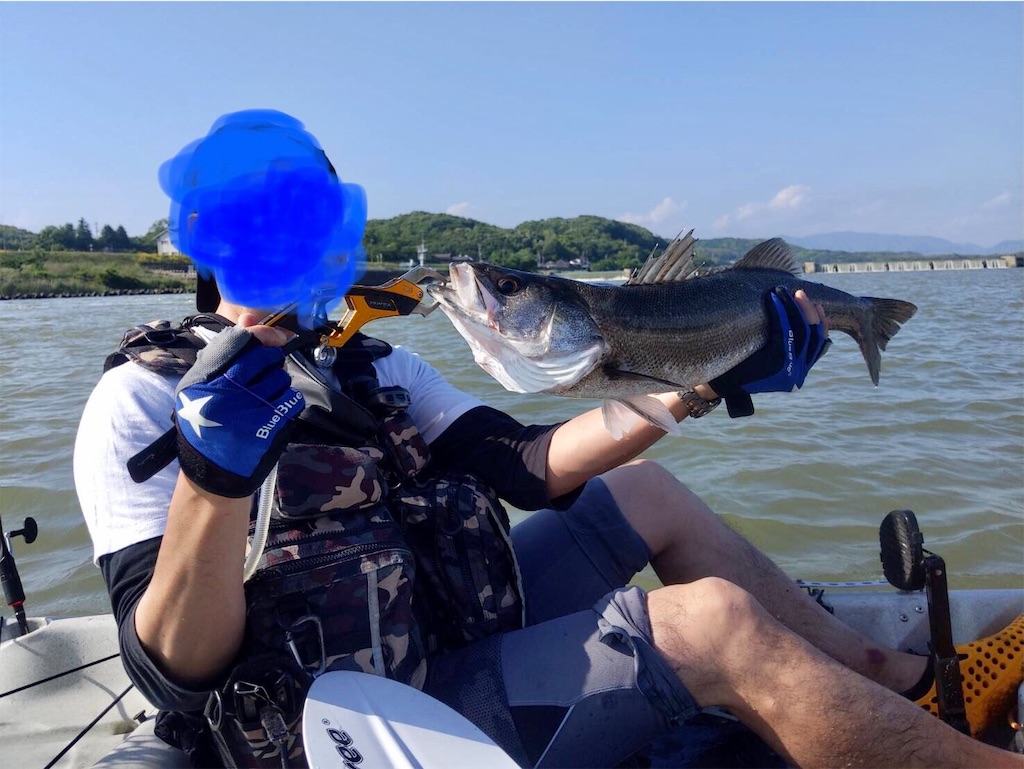 f:id:akitakafishng:20210521100735j:image