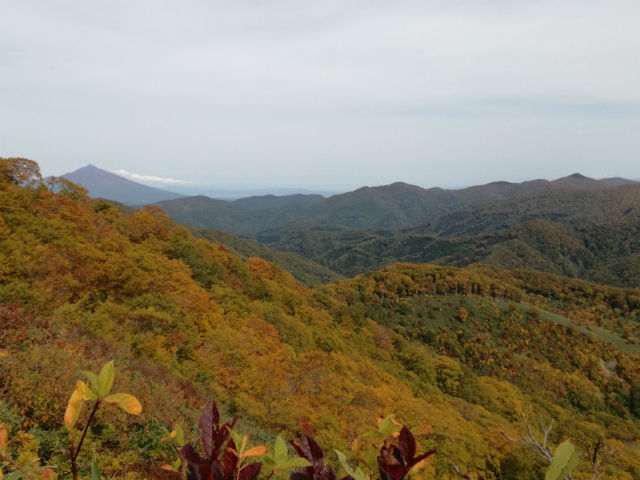 f:id:akitaodatelife:20171008220557j:plain f:id:akitaodatelife:20171008220557j:plain