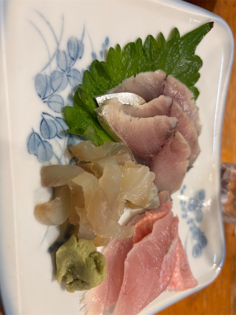 f:id:akitayume:20241208190903j:image