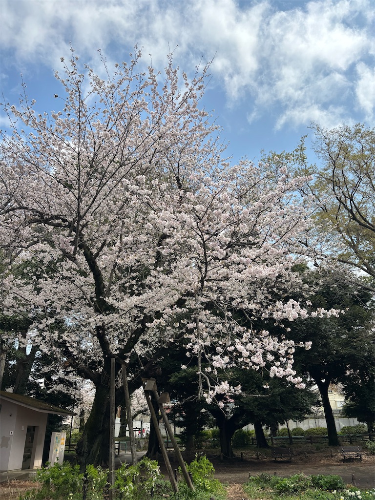 f:id:akitayume:20260329110159j:image