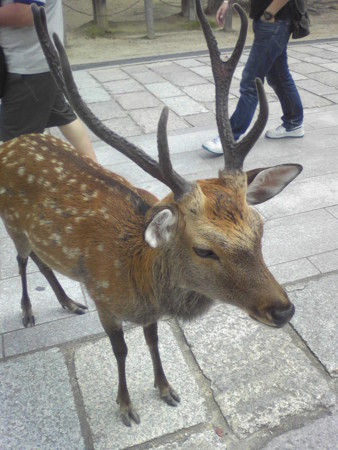 f:id:akito0526:20140826113600j:image:w360 f:id:akito0526:20140826113600j:image:w360