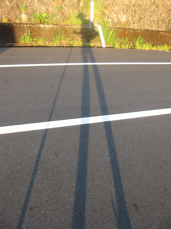 20240829021800 20240829021800