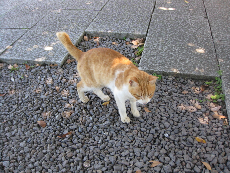 20240829022303 20240829022303