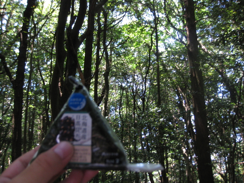 20240829024807 20240829024807