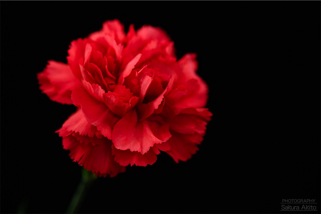 f:id:akiton58mm:20190601193929j:image f:id:akiton58mm:20190601193929j:image