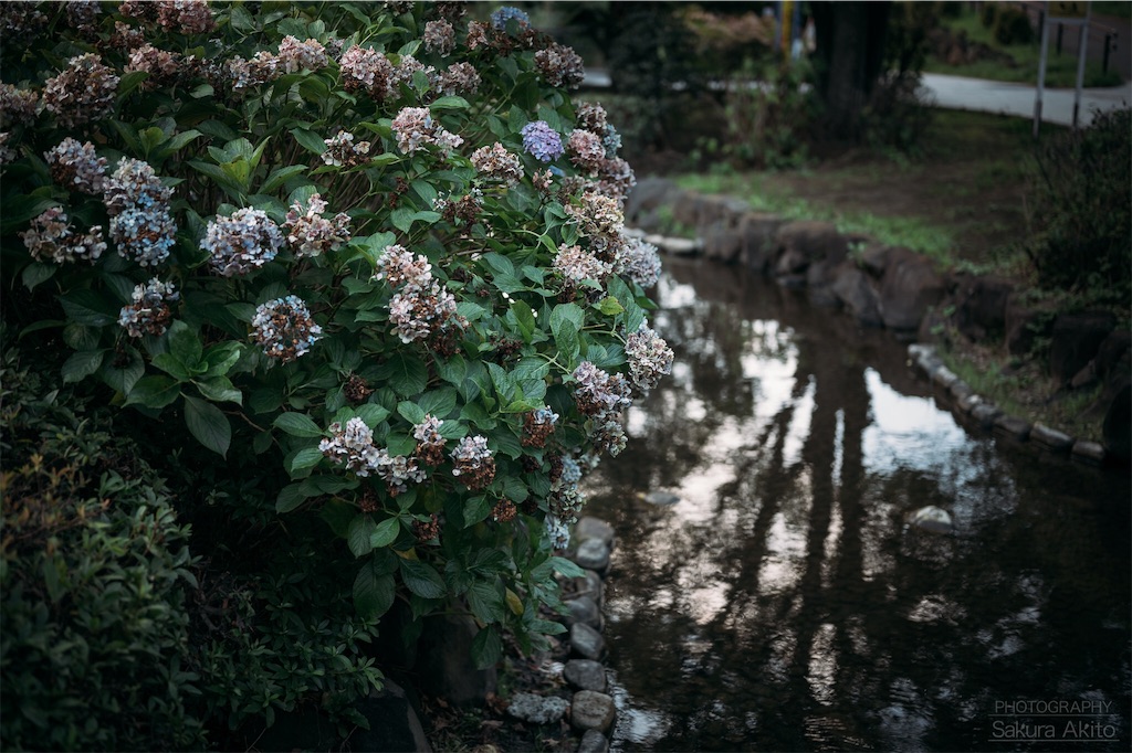 f:id:akiton58mm:20190803130831j:image f:id:akiton58mm:20190803130831j:image
