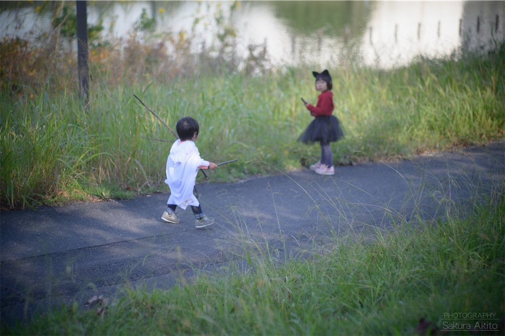 f:id:akiton58mm:20191118115015j:image f:id:akiton58mm:20191118115015j:image