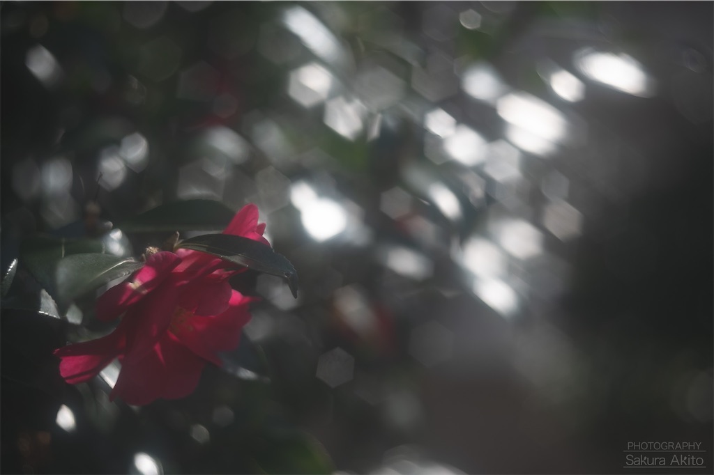 f:id:akiton58mm:20200425115022j:image f:id:akiton58mm:20200425115022j:image