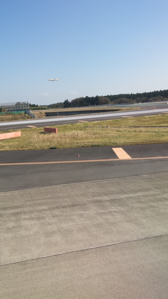 f:id:akitsu316:20180716120221j:plain f:id:akitsu316:20180716120221j:plain