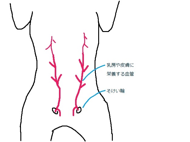 f:id:akittojuui:20180502164106j:plain