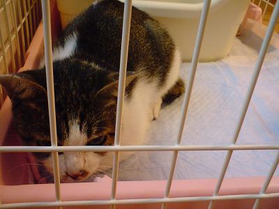 f:id:akiyochan15:20090912163437j:image f:id:akiyochan15:20090912163437j:image