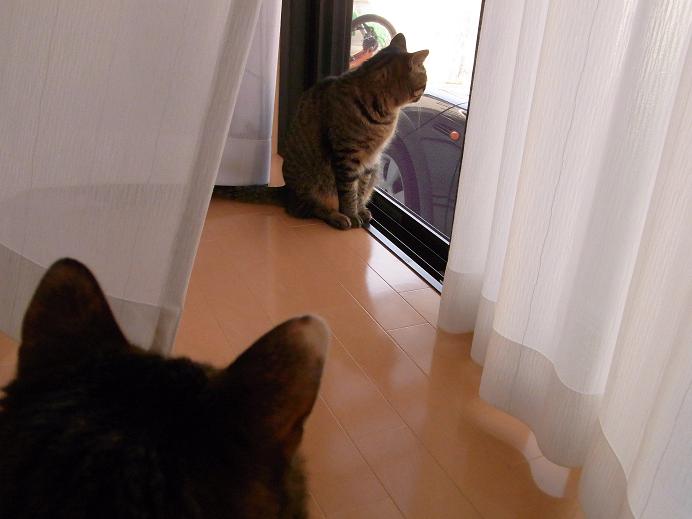 f:id:akiyochan15:20100314142024j:image