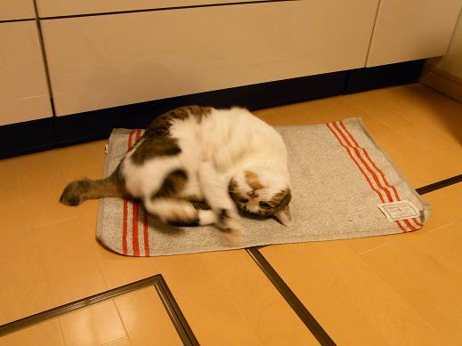 f:id:akiyochan15:20100331201241j:image