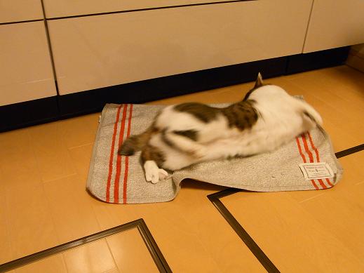 f:id:akiyochan15:20100331201243j:image