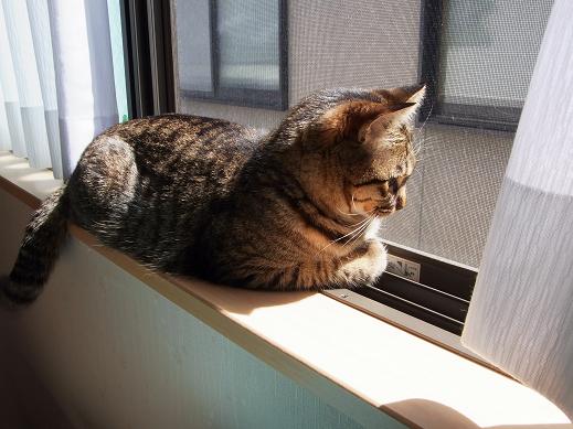 f:id:akiyochan15:20100404134655j:image