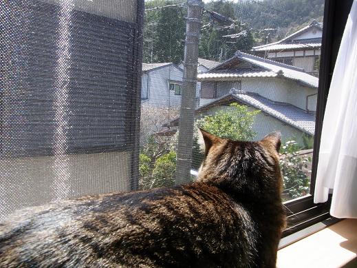 f:id:akiyochan15:20100404134722j:image