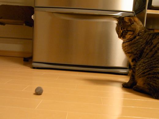 f:id:akiyochan15:20100411185820j:image