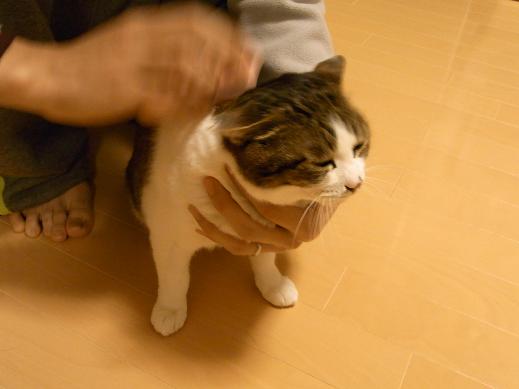 f:id:akiyochan15:20100411185941j:image