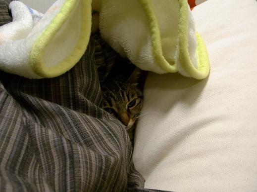 f:id:akiyochan15:20100414234533j:image