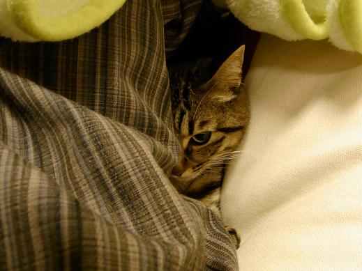 f:id:akiyochan15:20100414234619j:image