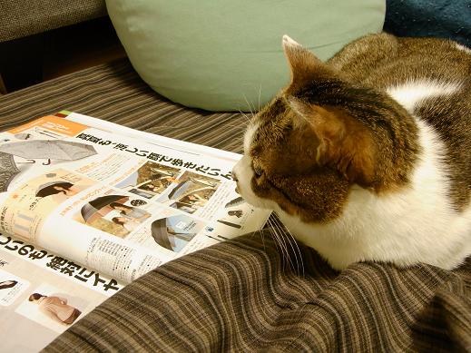 f:id:akiyochan15:20100417030017j:image