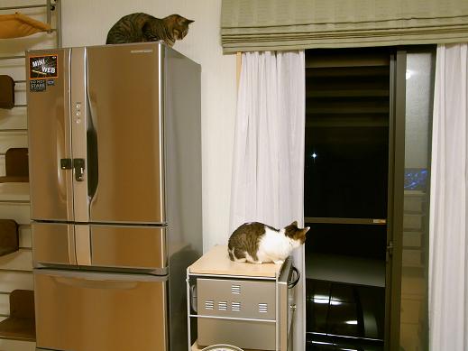 f:id:akiyochan15:20100418193102j:image