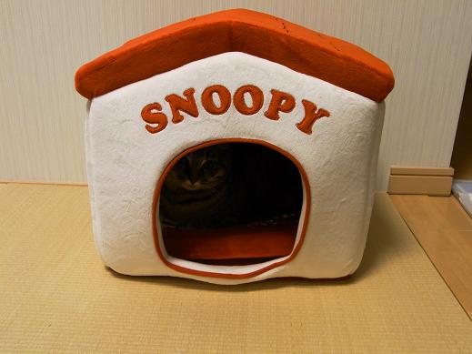 f:id:akiyochan15:20100421222713j:image