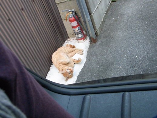 f:id:akiyochan15:20100518185703j:image