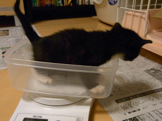 f:id:akiyochan15:20100519201234j:image f:id:akiyochan15:20100519201234j:image