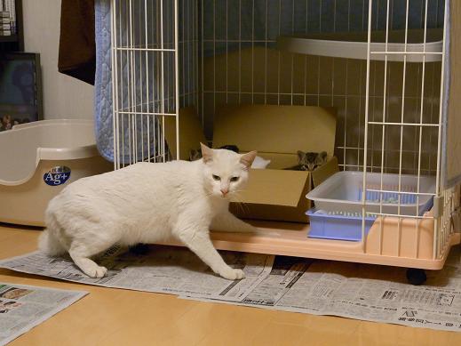 f:id:akiyochan15:20100519211512j:image f:id:akiyochan15:20100519211512j:image