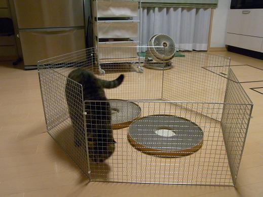 f:id:akiyochan15:20100611003436j:image