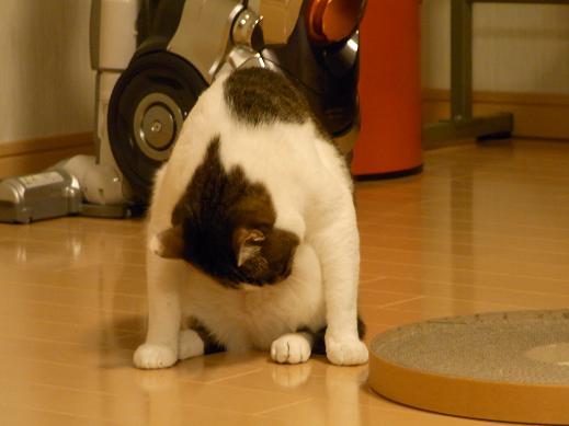 f:id:akiyochan15:20100624234909j:image