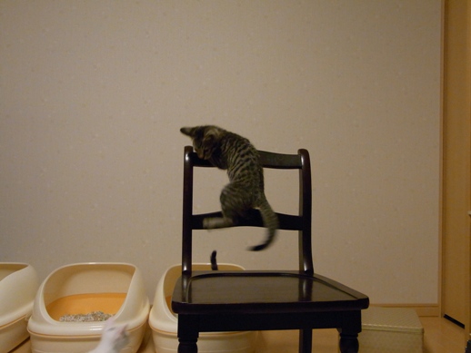 f:id:akiyochan15:20100711012926j:image