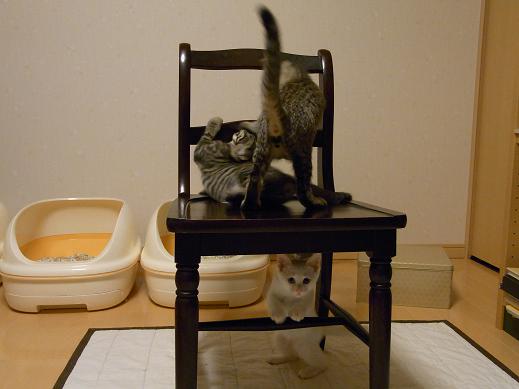 f:id:akiyochan15:20100711012934j:image