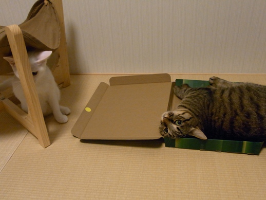 f:id:akiyochan15:20100810010942j:image