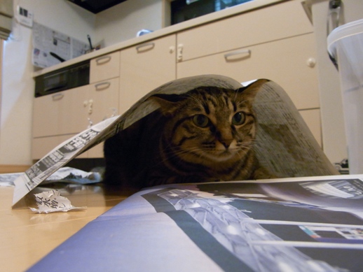 f:id:akiyochan15:20100823224027j:image