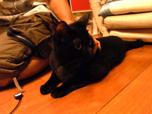 f:id:akiyochan15:20100825192344j:image