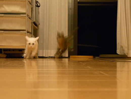 f:id:akiyochan15:20100826005651j:image f:id:akiyochan15:20100826005651j:image