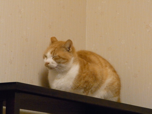 f:id:akiyochan15:20110204014827j:image f:id:akiyochan15:20110204014827j:image