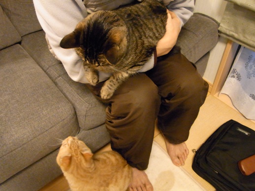 f:id:akiyochan15:20110213174337j:image