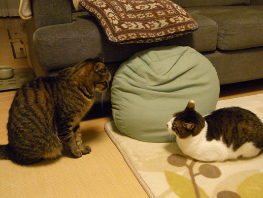 f:id:akiyochan15:20110424021318j:image