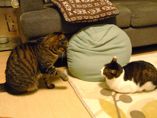 f:id:akiyochan15:20110424021324j:image